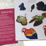 DIY Senaka Senanayake Art Kit